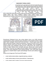 Thorax (Chest)