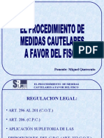 Elprocedimiento Medidas Cautelares Favor Fisco