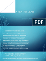 Sistema Ventricular