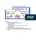 Tarea #1 - Moléculas Orgánicas e Inorgánicas MED