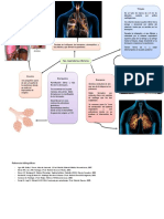 Vias Respiratorias Inferiores