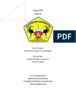 Nebiula Elshadday Yunanda A.O - NCP - Monitoring Evaluasi