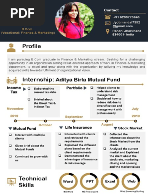Resume Format