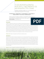 Brachiaria Brizantha (Trin) Griseb: Efecto de Biofertilizantes Microbianos en El Crecimiento de