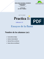 Práctica 1 - AEC1058 Química - Ensayo A La Flama - Ingenería Civil - Grupo Z1 - Mayte - Mariela - Luis Alfonso - José Manuel