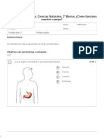 ¿Cómo Funciona Nuestro Cuerpo