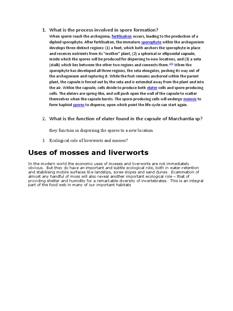 What Is The Process Involved in Spore Formation | PDF