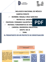 Magali Cruz Presupuesto de Un Proyecto de Investigación