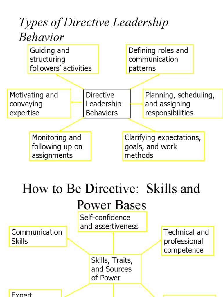 Directive Leadership Strategies | PDF | Competence (Human Resources ...