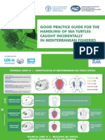 Good Practice Guide For The Handling of Sea Turtles Caught Incidentally in Mediterranean Fisheries