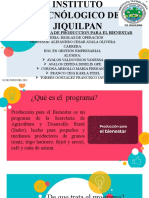 Programa de Producción (SADER)