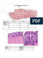 Lembar Kerja Praktikum Gastrointestinal 1