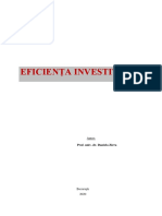 Eficienta Investitiilor Curs IFR Daniela Zirra