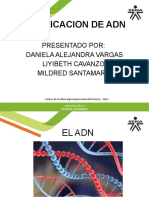 Purificacion de Adn Exposicion