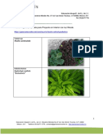 Paleta Vegetal Propuesta Para Proyecto en Interior Con Luz Filtrada