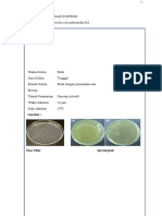 Laporan Resmi Mikrobiologi Kirim