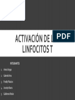 Activación de Los Linfocitos T