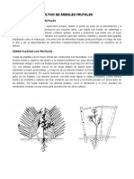 Cultivo de Árboles Frutales