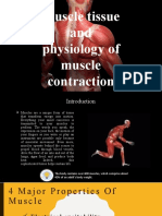 Muscle Tissue and Physiology of Muscle Contraction