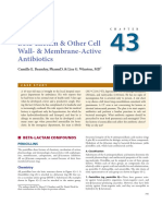 43-Cell Wall Inhibitor