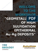Geometallurgy of High Sulfidation Epithermal Au-Ag Deposits