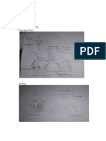 Activity-11-Respiratory-System - PERALTA