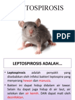 LEPTOSPIROSIS