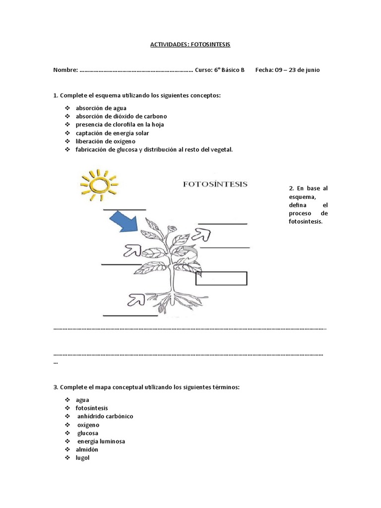 Actividades de Fotosíntesis para Niños | PDF | Métodos y materiales de ...