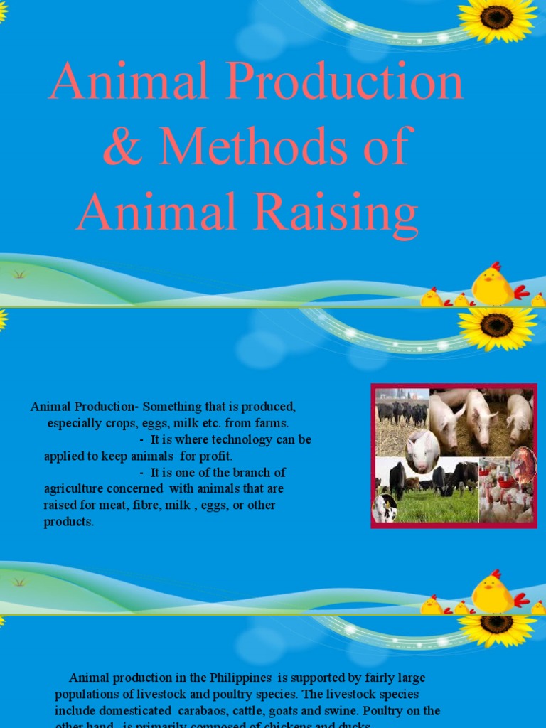 Animal Production and Methods of Animal Raising EPP Arceli M. Comia PDF Livestock Poultry