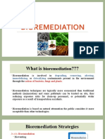 Bioremediation