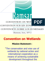 Ramsar Convention On Wetlands