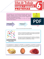 Las-proteínas-para-Sexto-Grado-de-Primaria