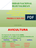 AVICULTURA 2010