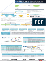 (Infographic)MAOS UMTS ANR Introduction Technical Poster(01)