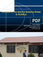 Analysis of The SACCO Balance Sheet & Pearls