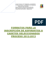 Formatos