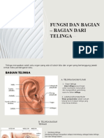 Fungsi Dan Bagian Telinga - Tria Kamaruddin