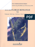 Atlas Florae Romaniae Vi