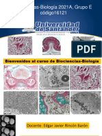 Biociencias - Biologia 2021A Seres Vivos, Clasificacion, Metodocientifico y Origen D Ela Vida