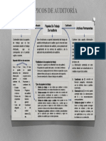 Mapa Conceptual-Tópicos de Auditoría