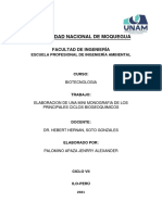 Elaboracion de Una Mini Monografia de Los Principales Ciclos Biogeoquimicos