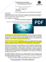 Español - Guia de Los Tiburones - Fajardo Nieto Maria Jose - 7-2