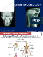 3 Introduction To Osteology