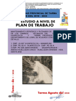 Plan de Trabajo Huaricolca Consorcio Marzo-1