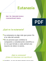 Eutanasia (1)