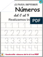 Mis Numeros Trazos MEPD