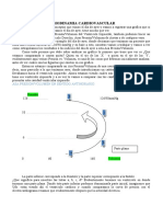 Clase 9. Hemodinamia Cardiovascular (1)