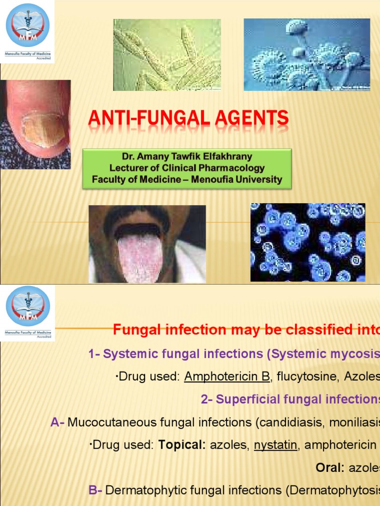 Antifungal Drugs PDF Candidiasis Pharmacology