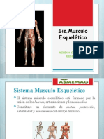 Sistema musculoesqueletico