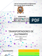 Fisiopatología transportadores glutamato-glicina